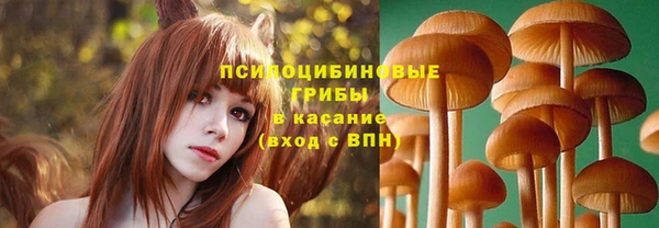 PSILOCYBIN Остров