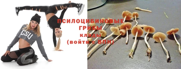 apvp Абаза