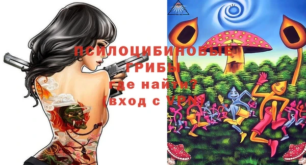 apvp Абаза