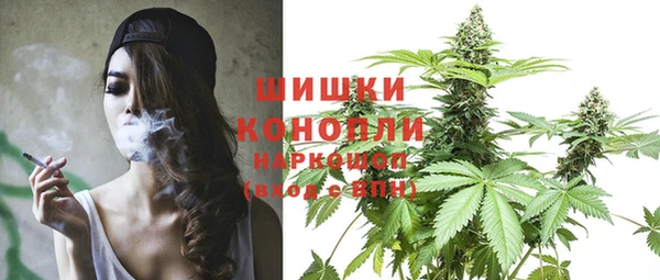PSILOCYBIN Остров