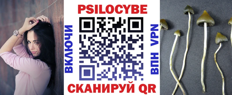 Галлюциногенные грибы Psilocybe  где купить наркотик  Кадников 